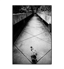 dailyPhoto19